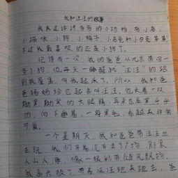 動(dòng)物的人性作文600字開頭