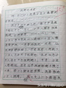 作文,班級(jí),開頭,美食節(jié)