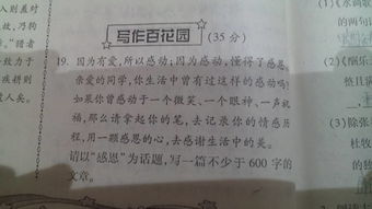 最感謝的老師600字作文開頭