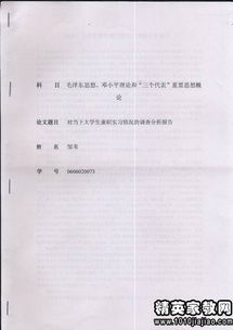 大學生實習調(diào)研報告范文(大學生企業(yè)實習調(diào)研報告)