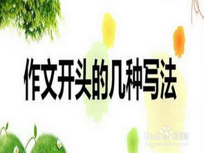 小學(xué)生作文指導(dǎo)寫好開(kāi)頭