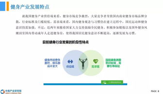健身器材市場調(diào)研報(bào)告(健身器材市場調(diào)研報(bào)告)