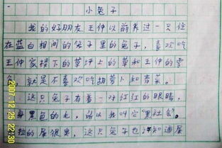 動(dòng)物個(gè)性特點(diǎn)作文開頭