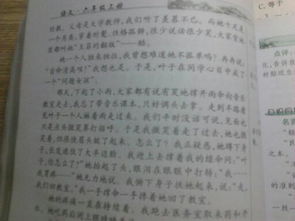 人間真情類作文開頭50字