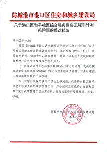 [整改]09工程審計(jì)問(wèn)題整改報(bào)告(工程審計(jì)問(wèn)題整改報(bào)告)