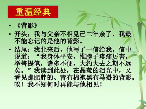 小發(fā)現(xiàn)給我的啟示的作文開頭結(jié)尾