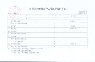 鄉(xiāng)鎮(zhèn)財(cái)政預(yù)決算報(bào)告(部門預(yù)決算自查報(bào)告)