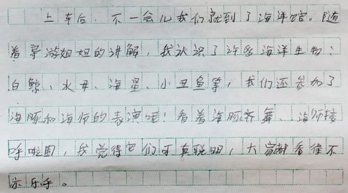 校園讓我學會了成長的作文600字作文開頭