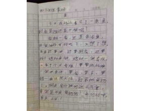 散步路上作文開頭