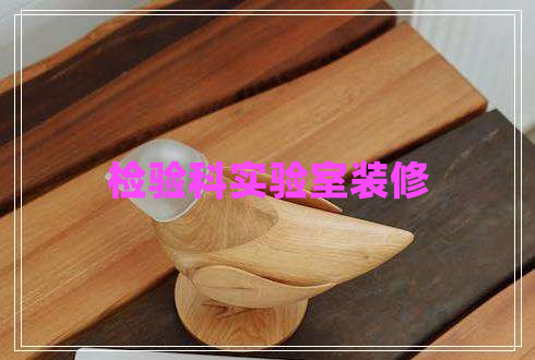 檢驗(yàn)科實(shí)驗(yàn)室裝修