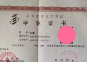 自考本科考試幾門