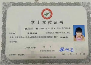 會展管理自考本科人力三