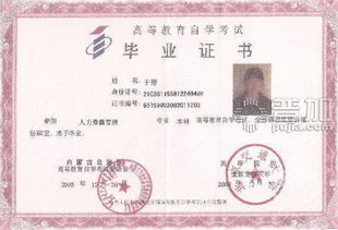 在什么時候自考本科最好