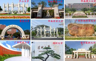 新疆自考本科學(xué)費多少錢啊