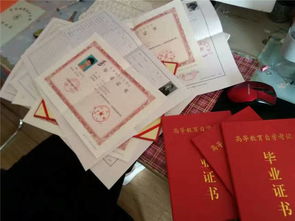 初中學歷可以報考自考本科嗎