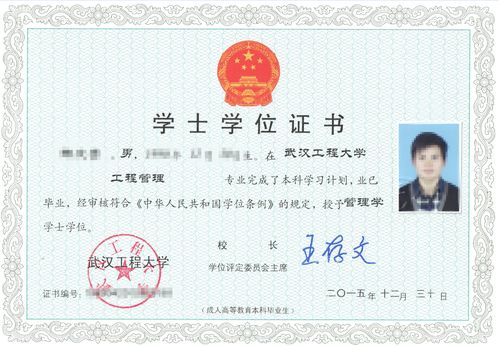自考本科怎么獲得學(xué)位證書
