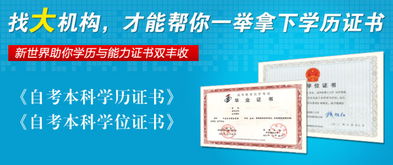 自考美學(xué)本科重點