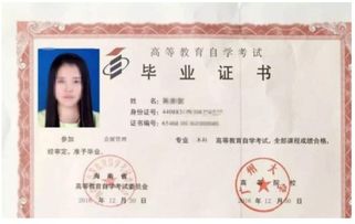 自考本科先考專科嗎