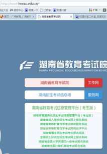 跳過自考大專直接報考自考本科可以嗎