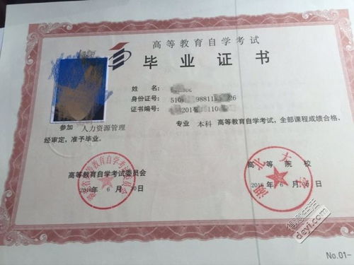 如何報考物業(yè)管理本科自考本科