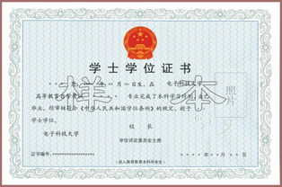 自考本科能查出來嗎