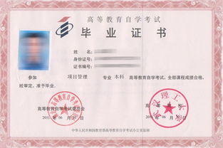 大專自考本科美術(shù)