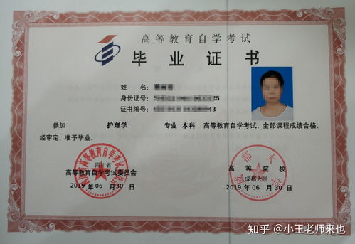 護理學本科自考專業(yè)科目