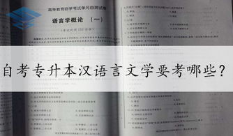 漢語言文學本科自考要考幾科