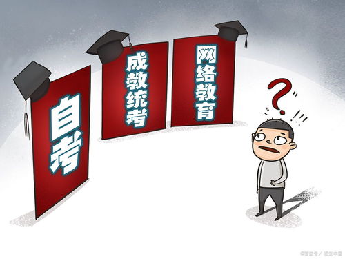 全日制大專和自考本科哪個學(xué)歷高