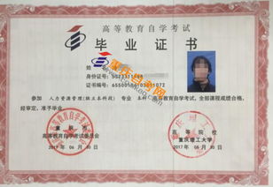 自考本科和自考?？埔x一樣嗎
