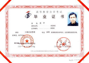 大專大二能自考本科嗎