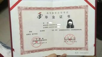 哪個(gè)專(zhuān)業(yè)自考本科好過(guò)