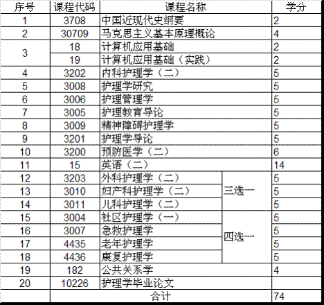 安徽自考護(hù)理學(xué)本科科目