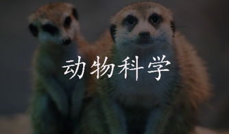 自考動物科學(xué)本科