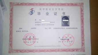 拿到自考本科后的出路