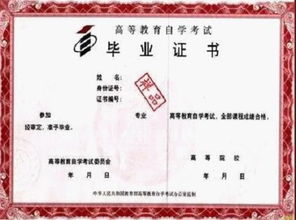 自考本科與?？莆膽{哪個含金量高