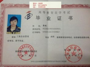 自考本科看什么專業(yè)好