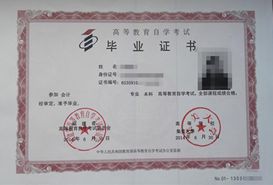 會(huì)計(jì)專(zhuān)業(yè)自考本科真題