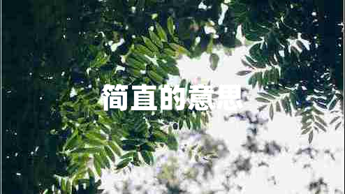 簡直的意思