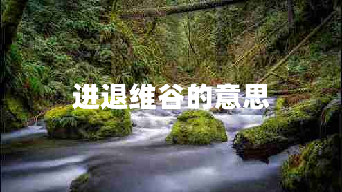進退維谷的意思