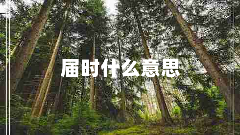 屆時什么意思