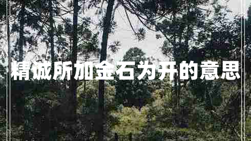 精誠(chéng)所加金石為開的意思