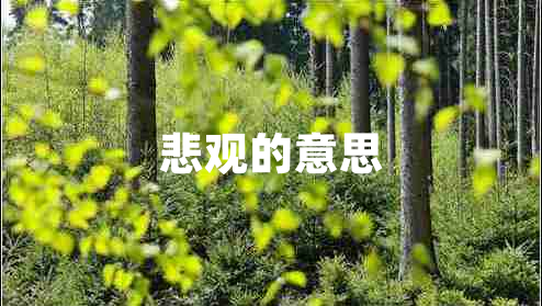 悲觀的意思