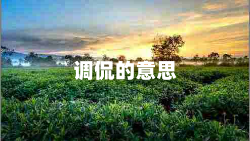 調(diào)侃的意思