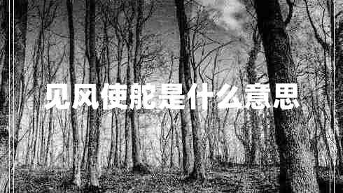 見風(fēng)使舵是什么意思