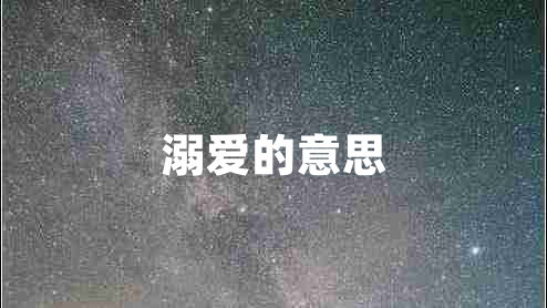 溺愛的意思