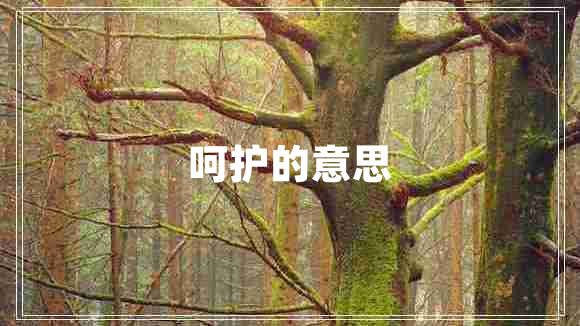 呵護(hù)的意思