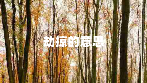 劫掠的意思