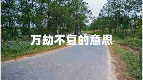 萬劫不復(fù)的意思