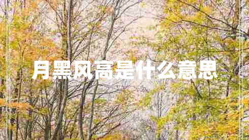 月黑風高是什么意思
